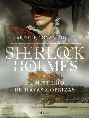cover image of El misterio de Hayas Cobrizas